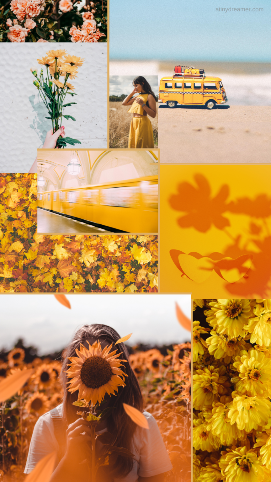 38 Sunflower iPhone Wallpapers to Download for Free - atinydreamer