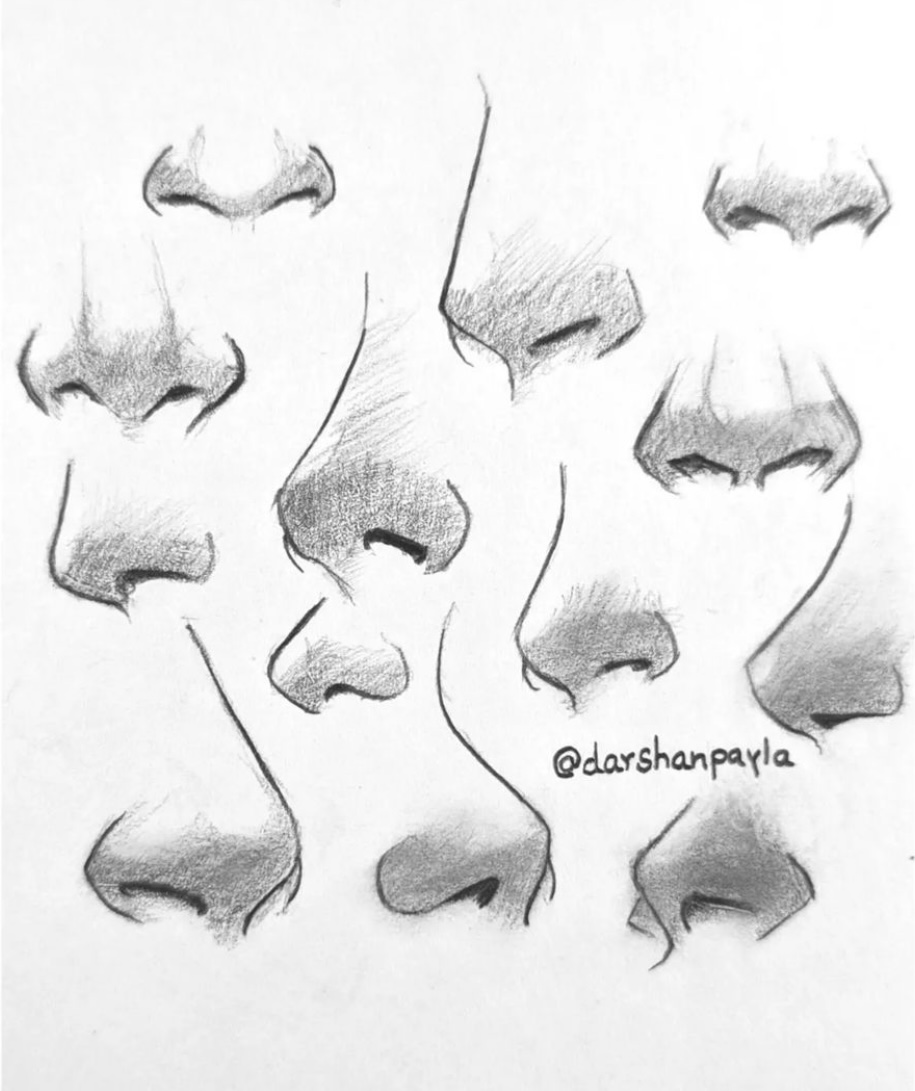 15 Best Nose Sketch Drawing Tutorials for Inspiration - atinydreamer