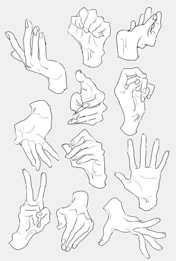 From my new book Poses For Artists Vol 8: Hand References on  www.PoseMuse.com (link in bio). All of my pose references are free to use  fo... | Instagram