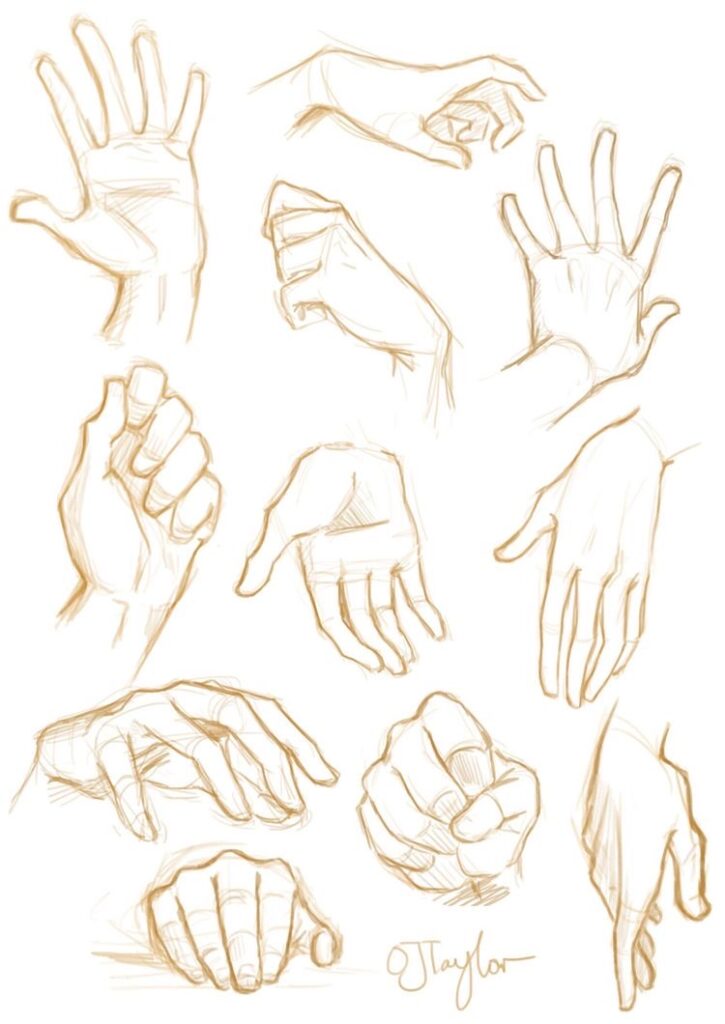 100+ Drawings Of Hands: Quick Sketches & Hand Studies
